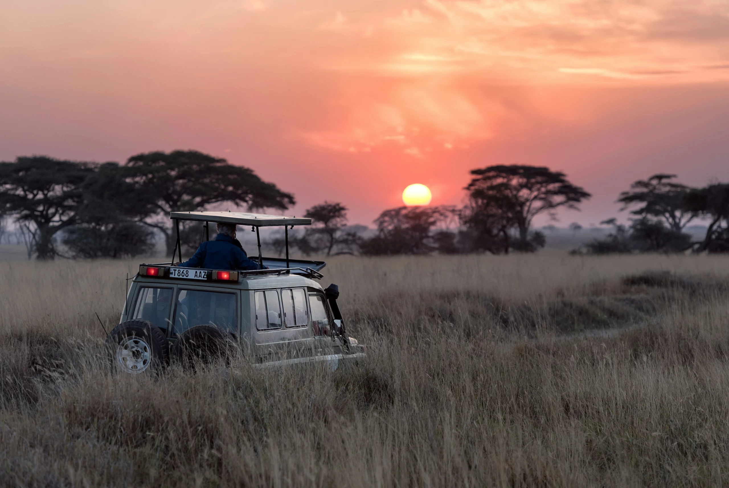 Coucher de soleil sur le safari tanzanien, 4x4 dans la savane